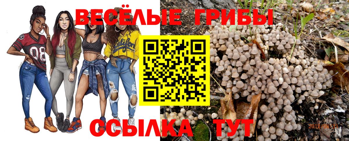 Псилоцибиновые грибы Cubensis  Вход с VPN  где продают   Волхов 