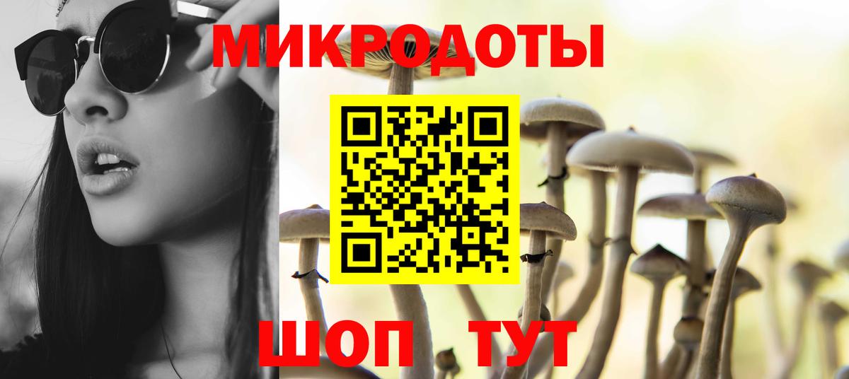 Псилоцибиновые грибы Psilocybe Волхов